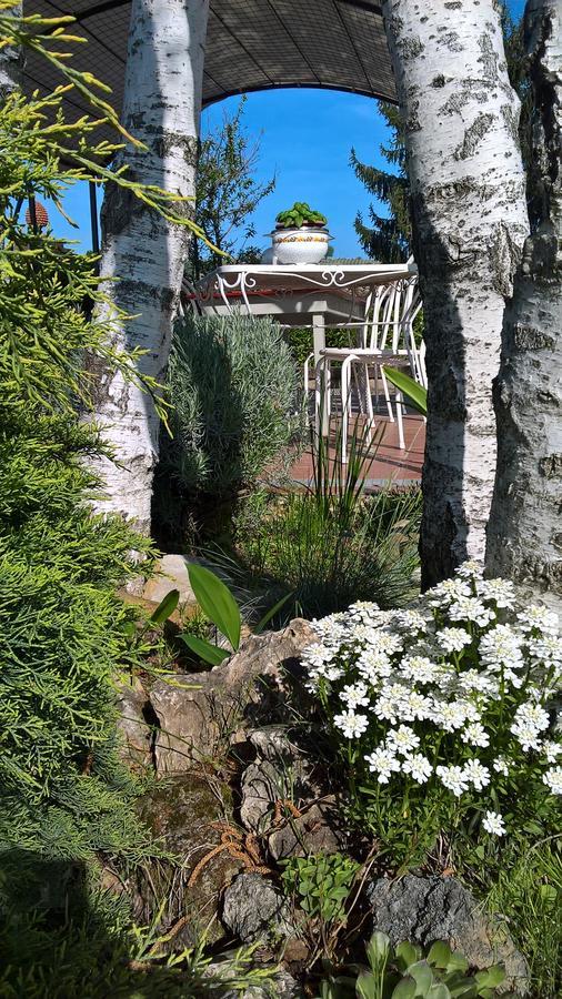 Il Girasole Hotel Strevi Exterior photo